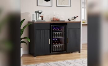 Best Modern Storage Cabinet for Home