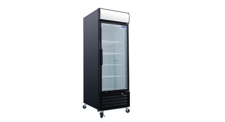 Best Single Door Freezer Display Cabinet