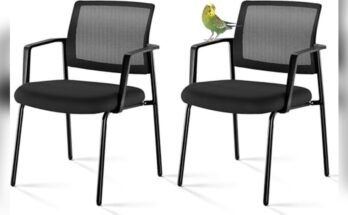 Best Stackable Guest Chairs for Offices