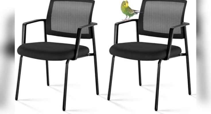 Best Stackable Guest Chairs for Offices
