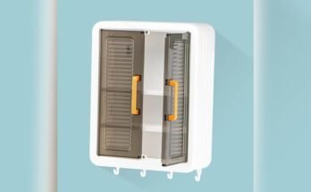 Best Storage Cabinet for Garage Organization