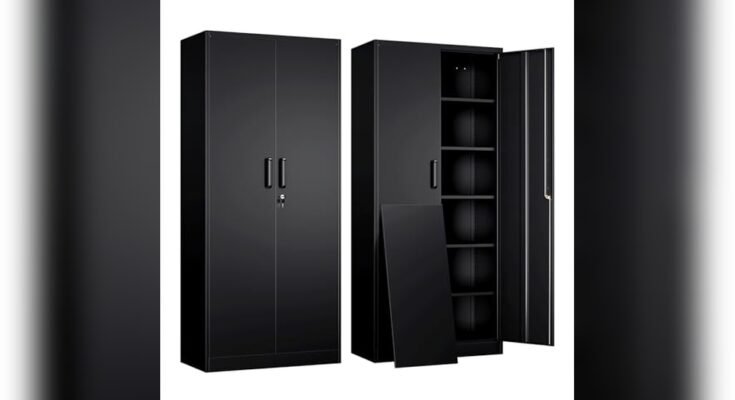 Best Storage Cabinet With Lock