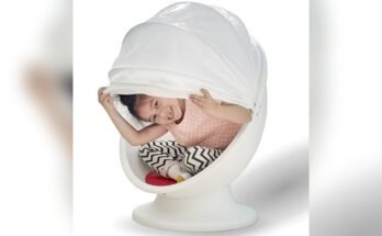 Best Swivel Egg Chair for Home