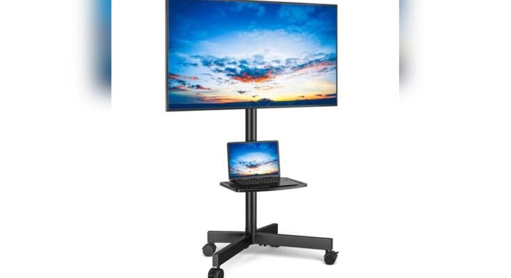 Best Tv Stand With Adjustable Shelves