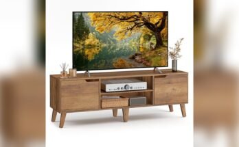 Best Tv Stand With Glass Doors