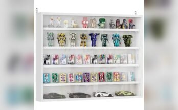 Best Wall Mounted Display Cabinet