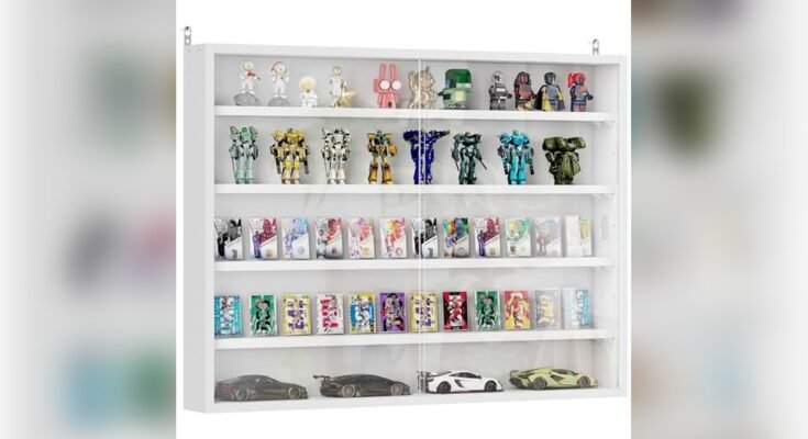 Best Wall Mounted Display Cabinet