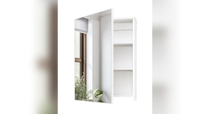 Best Wall-Mounted Medicine Cabinet