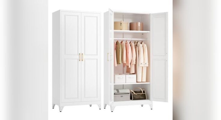 Best Wardrobe Cabinet for Apartments