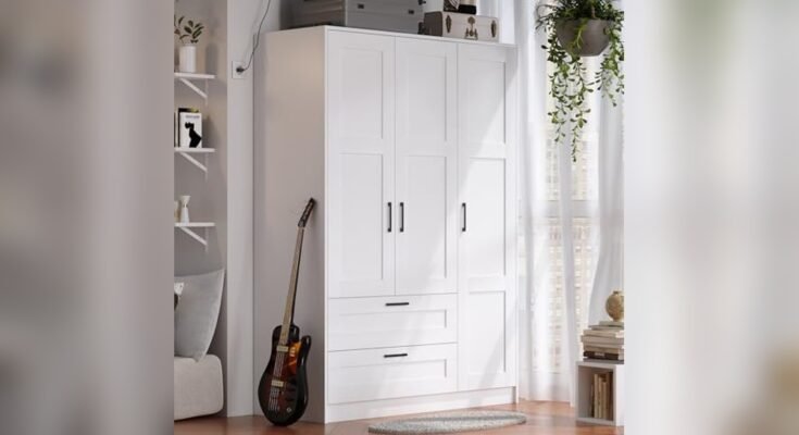 Best Wardrobe for Modern Homes