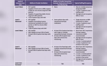 What is the Difference between Icu Beds And Critical Care Beds?