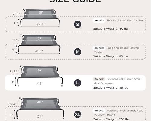 Best Elevated Dog Beds For Outdoor Use