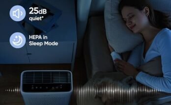 Best Smart Air Purifier