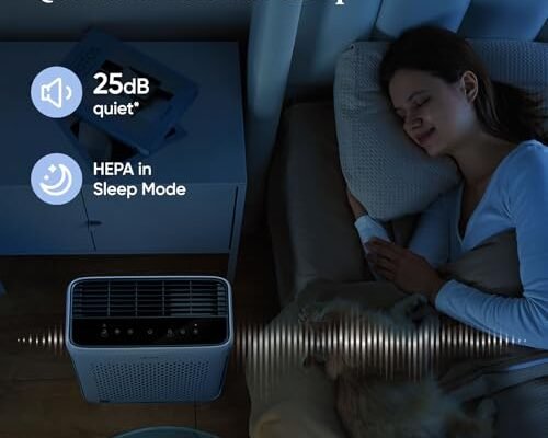 Best Smart Air Purifier
