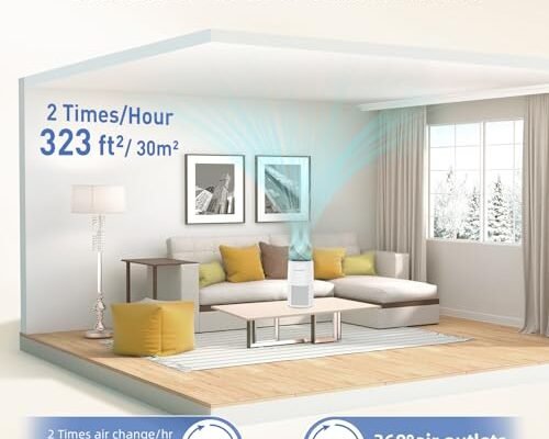 Best Budget Air Purifier