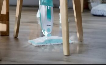 Best Steam Mop