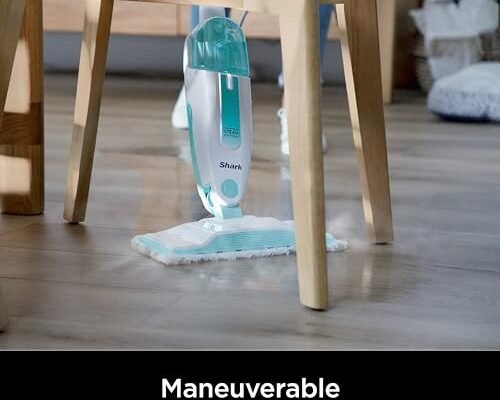 Best Steam Mop