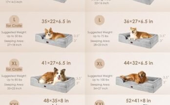 Best Washable Dog Beds