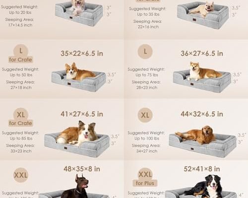 Best Washable Dog Beds