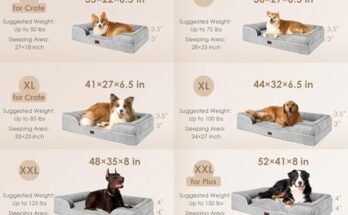 Best Washable Dog Beds