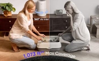 Best Air Purifier For Allergies