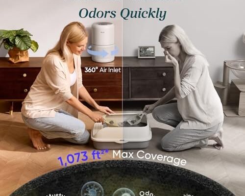 Best Air Purifier For Allergies