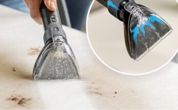Best Pet Vacuum For Carpet And Rugs