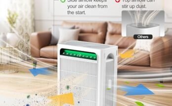 Best Air Purifier For Smoke