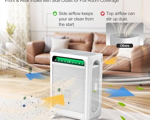 Best Air Purifier For Smoke