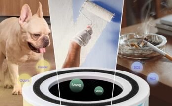 Best Air Purifier For Dust