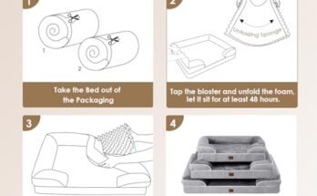 Best Orthopedic Dog Beds For Senior Dogs
