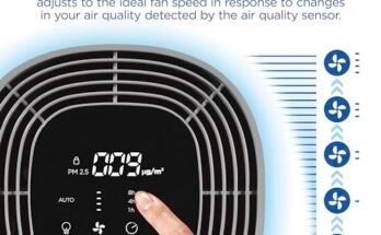 Best Air Purifier For Mold