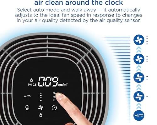 Best Air Purifier For Mold
