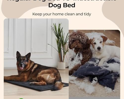 Best Dog Beds For Heavy Chewers