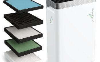Can Air Purifiers Help With Bad Odors
