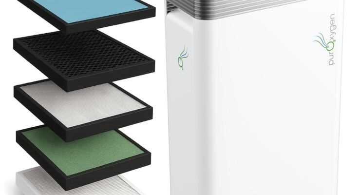 Can Air Purifiers Help With Bad Odors