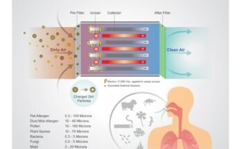 How Does An Air Purifier Work?