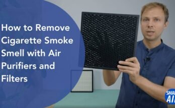 Can Air Purifiers Eliminate Smoke Smell?