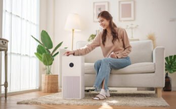 Do Air Purifiers Remove Dust Effectively?
