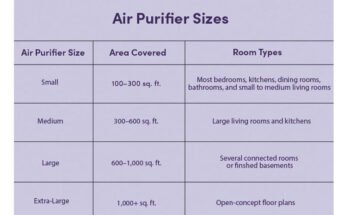 What Size Air Purifier Do I Need For My Room?