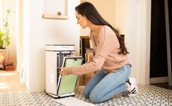 Are Air Purifiers Good For Asthma Sufferers?