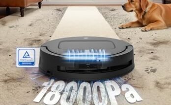 ECOVACS DEEBOT T80 Omni Robot Vacuum Review