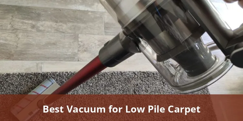 Can a wet/dry vacuum replace a carpet vacuum?
