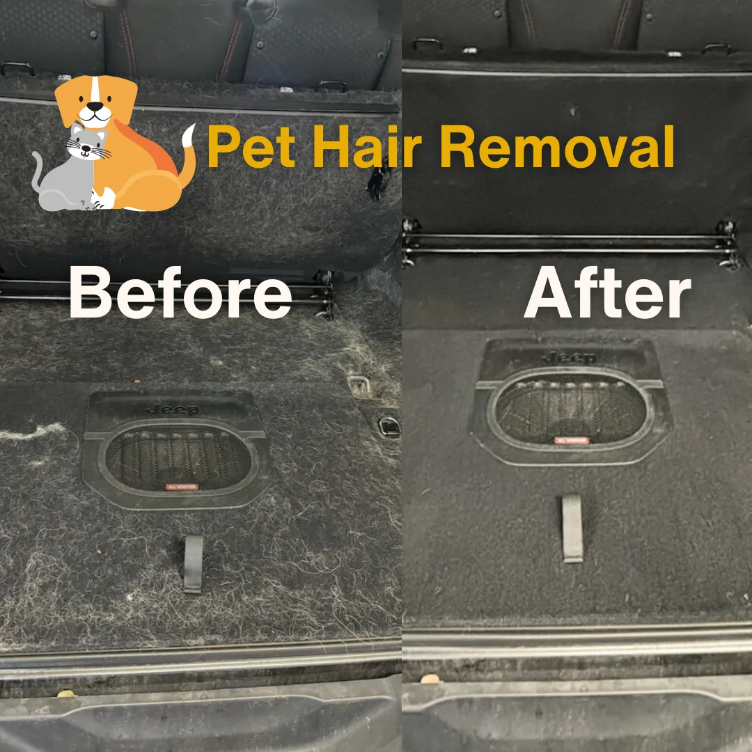 Car pet-hair removal