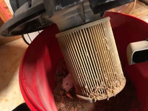 filter media