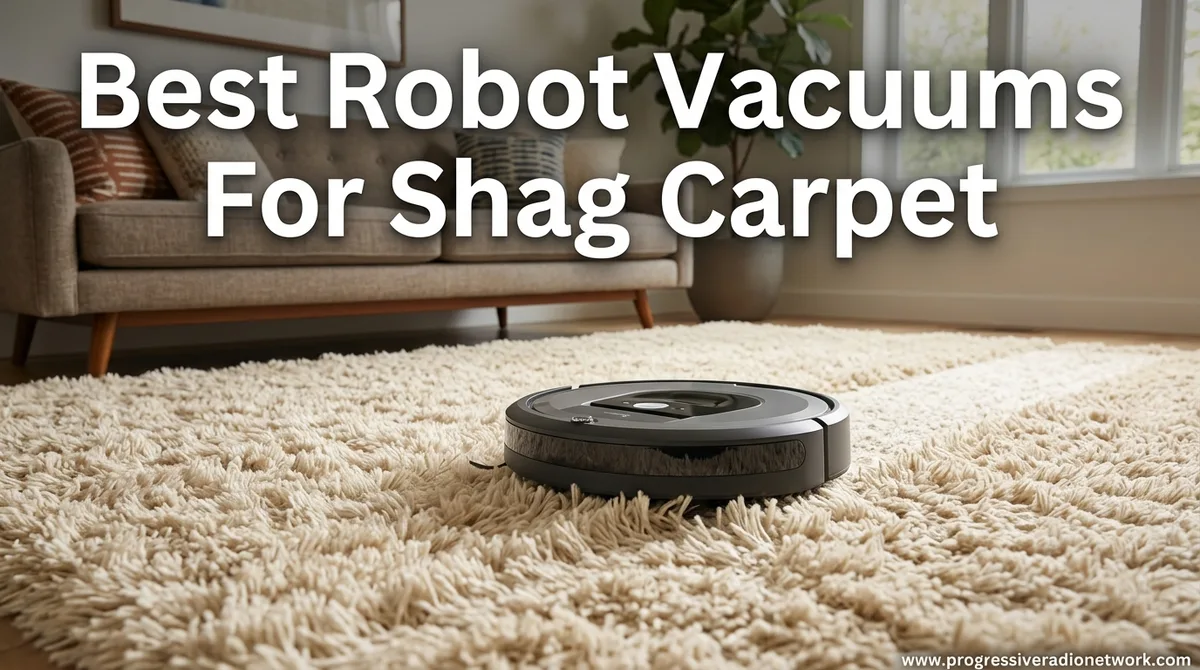 shag rug