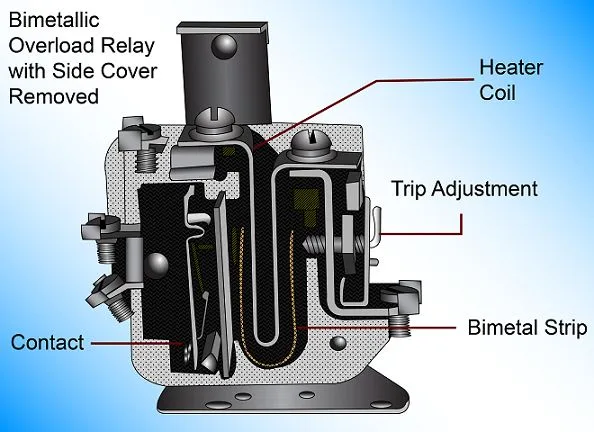 Thermal overload protector