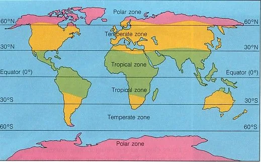 mild winters vs cold winters