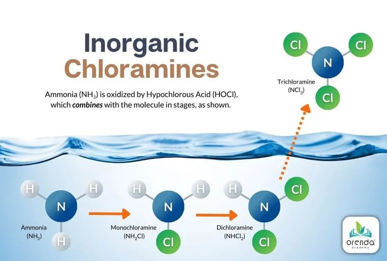 Understanding Combined Chlorine (Chloramines)