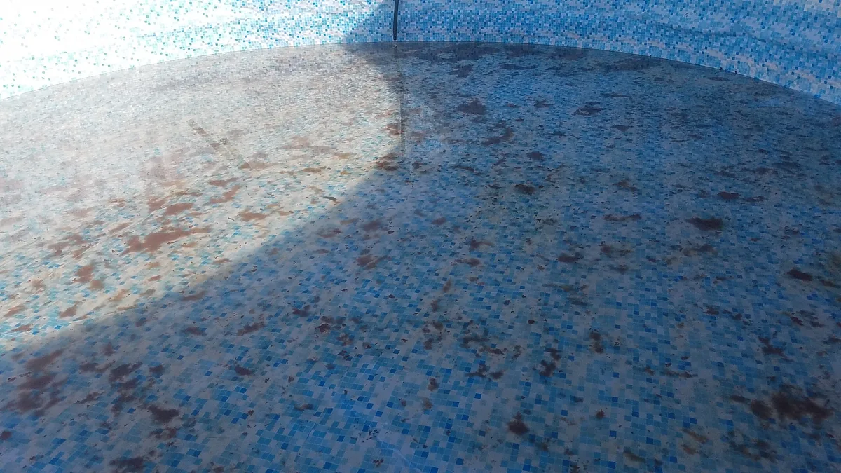 Why is my above ground pool water brown?
